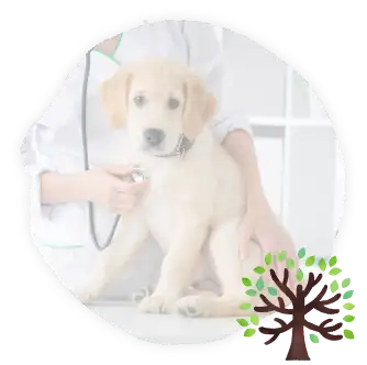 犬と木のあしらい画像