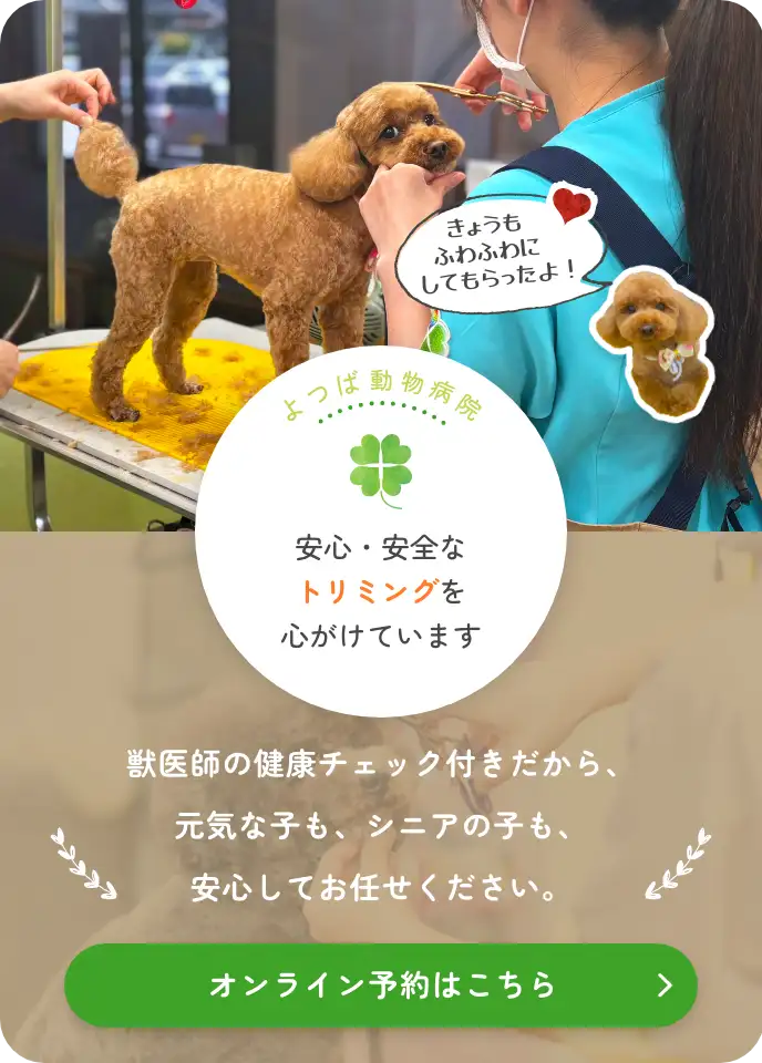よつば動物病院 安心・安全なトリミングを心がけています